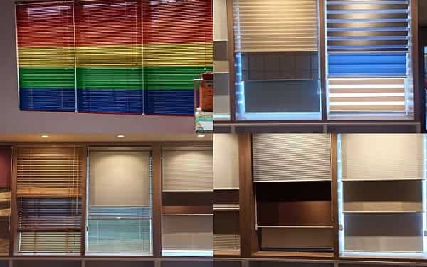 vertical blind shinichi